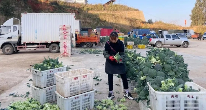 微信图片_20220214160912