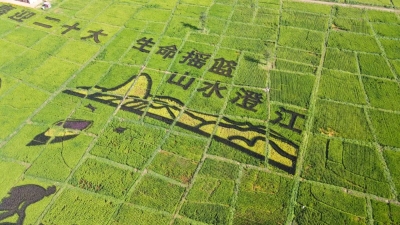 微信图片_20220924223105 微信图片_20220924223105
