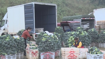 微信图片_20221105144552