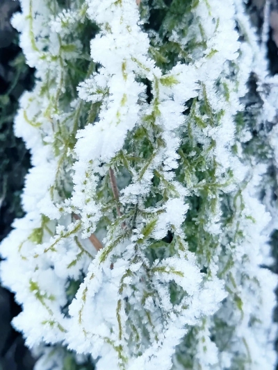 微信图片_20221219212042