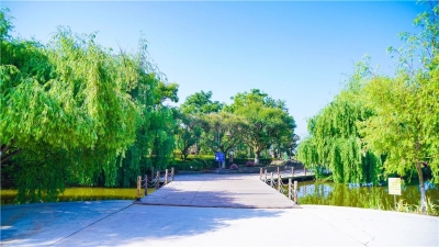 微信图片_20230226112035 微信图片_20230226112035