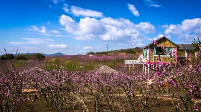 微信图片_20230403133133 微信图片_20230403133133