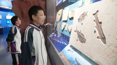 微信图片_20230428143930