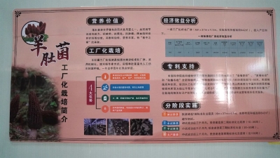 微信图片_20230710091344