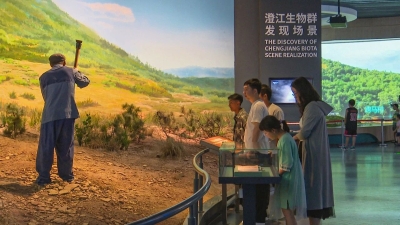 微信图片_20230826141333_2