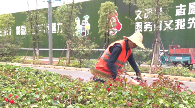 微信图片_20231116150425