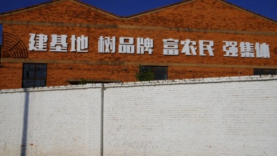 微信图片_20231208085606